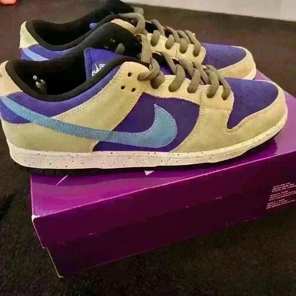Nike Dunk Low Pro SB 'ACG Celadon' Men's Sneakers 10.5 Men